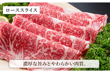 【肉のプロが厳選！】【全12回】佐賀県産和牛 贅沢定期便【株式会社いろは精肉店】 [IAG070]