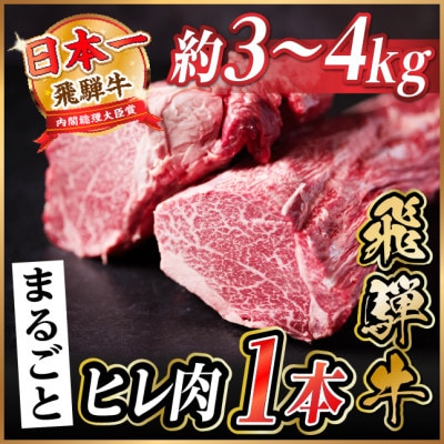飛騨牛 ヒレ1本(約3～4kg)【シャトーブリアン＆ヒレ】A4～A5等級 黒毛和牛【配送不可地域：離島】