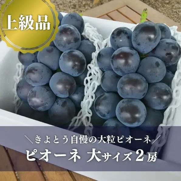 ピオーネ 岡山県産ぶどう 種なし大粒ピオーネ特大2房入1.3kg～ 【KF-B006-03】