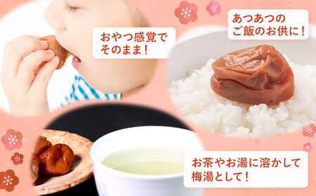 訳あり しそ漬け梅干し 350g×2箱 定期便 連続 3回  農事組合法人 梅香丘《お申込みの翌月から出荷》鹿児島県 さつま町 うめぼし 紫蘇 お取り寄せ プレゼント