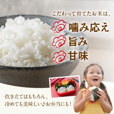 ふるさと納税 京丹後市 京丹後米〜水と文化が育んだ〜夢ごこち 精米 2kg 環境に優しいこだわりの肥料で育てた夢ごこち |  | 03