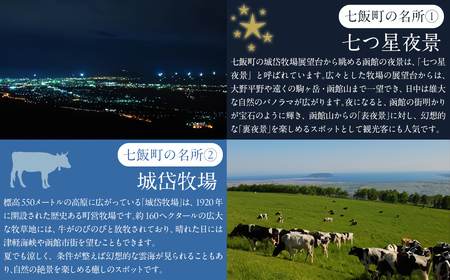 氷上スノーモービル　家族プランA (2人乗り×2台) NABE007