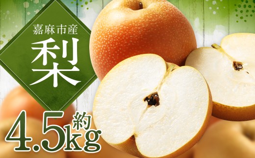 梨 4.5kg ナシ なし 果物 くだもの フルーツ 九州産 福岡県 嘉麻市 【2026年8月上旬～2027年1月下旬発送予定】