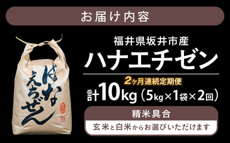【令和7年産】定期便 ≪2ヶ月連続お届け≫ 坂井市産 ハナエチゼン 5kg × 2回 (計10kg) 【玄米】 米 コメ お米 華越前 [C-10204_02]
