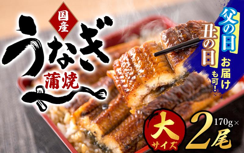 
            父の日  土用の丑の日【発送時期が選べる】【大型サイズ】ふっくら柔らか 国産うなぎ蒲焼2尾  / うなぎ 鰻 うなぎ蒲焼 うな重 うな丼 ひつまぶし 22000円 国産 土用の丑の日 冷凍便 クール便 贈答 贈り物 プレゼント ギフト 
          