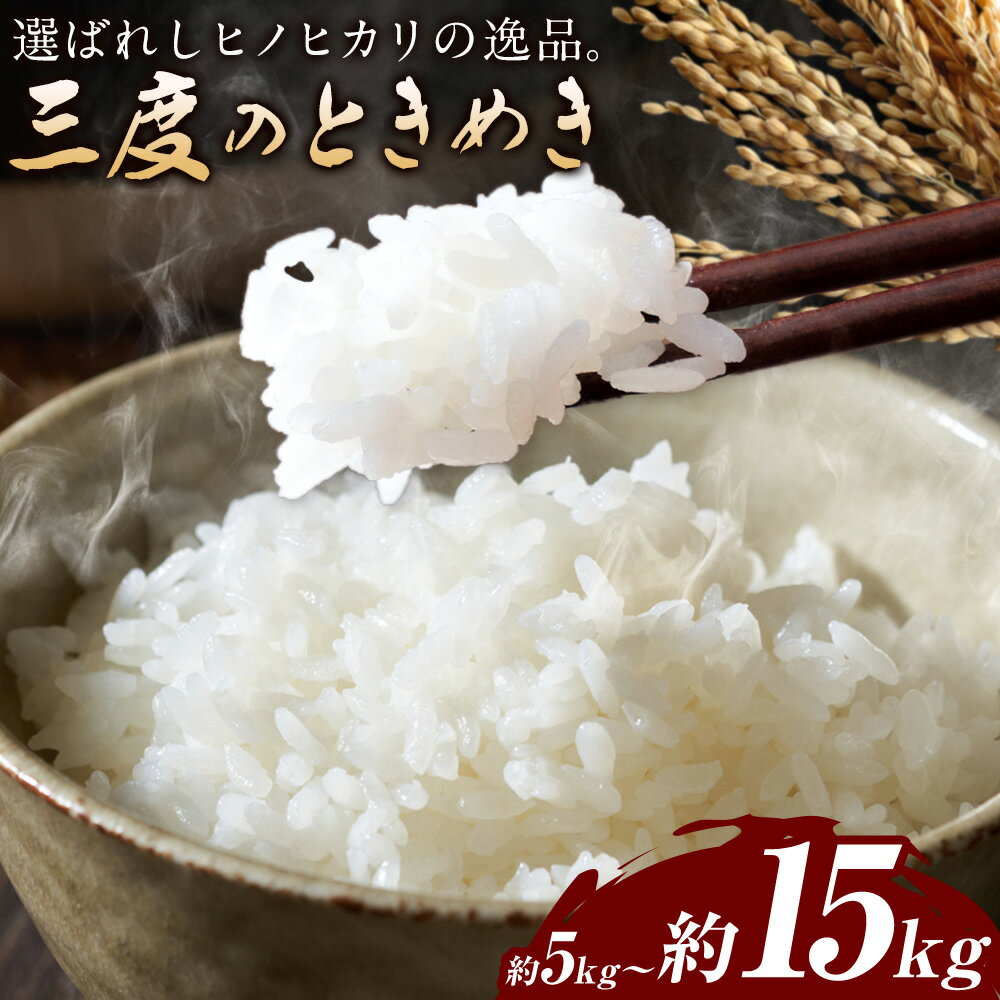 【ふるさと納税】米 三度のときめき 5kg 10kg 15kg 《60日以内に出荷予定(土日祝除く)》 くまもと食彩の力 お米 ひのひかり ヒノヒカリ こめ コメ 熊本県 長洲町