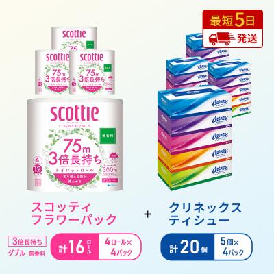 ふるさと納税 岩沼市 ティッシュ+トイレットペーパー無香料4P[No.5704-1784]