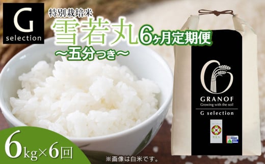 【令和7年産先行予約】【定期便6ヶ月】 特別栽培米 Gセレクション 雪若丸 【五分つき】6kg (6kg×1袋)×6ヶ月 山形県鶴岡市産　株式会社グラノフ