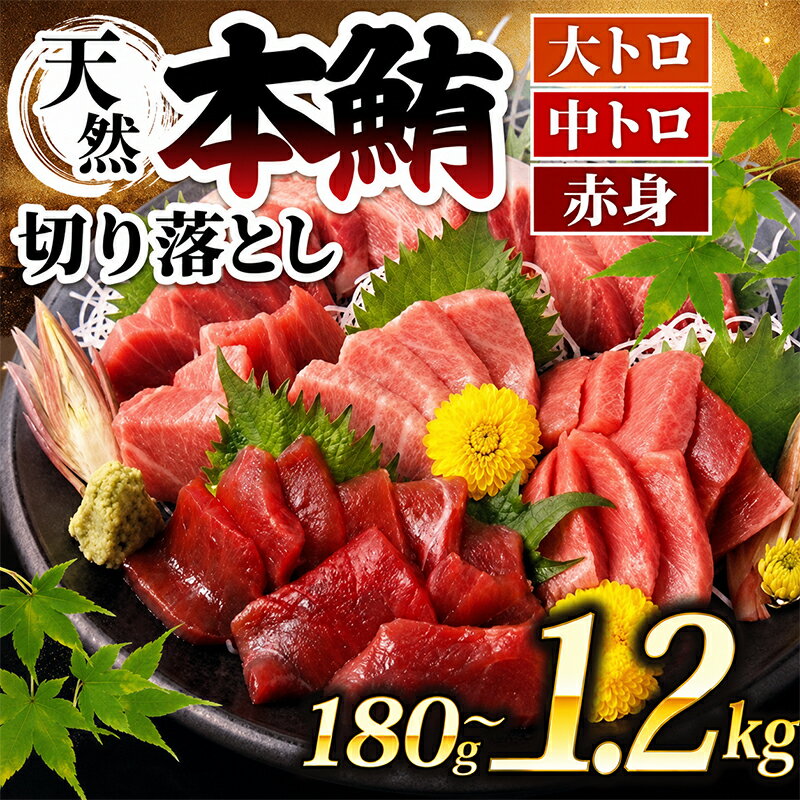 【ふるさと納税】 天然 本マグロ 中トロ 大トロ 赤身 切り落とし 1.2kg から 300g 小分け 60g 切落し 鮪 クロマグロ 海産物 魚 刺身 さしみ 漬丼 漬け丼 おかず 海鮮丼 魚介 海鮮 簡単調理 惣菜 訳あり 父の日 不揃い 規格外 不揃い 冷凍 人気 10000円 1万円 高知県 室戸市