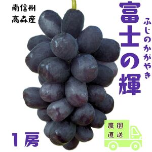 【南信州高森産】希少ぶどう 富士の輝 1房