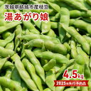 【ふるさと納税】先行予約 茨城県結城市産枝豆「湯あがり娘」4.5kg（茶豆味）　 野菜 国産 甘み 香り 濃厚 つまみ ビールのおつまみ ビールのつまみ 　お届け：2025年7月中旬～7月31日