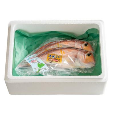 ふるさと納税 小浜市 若狭グジの一塩仕立て 700g×2尾