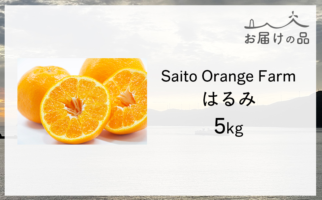 【先行予約】Saito Orange Farmのはるみ5kg(2026年2月上中旬頃より順次発送) IKTAQ016