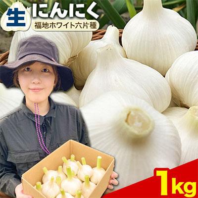 ふるさと納税 当別町 【令和8年発送先行受付】生にんにく(福地ホワイト六片種)1kg