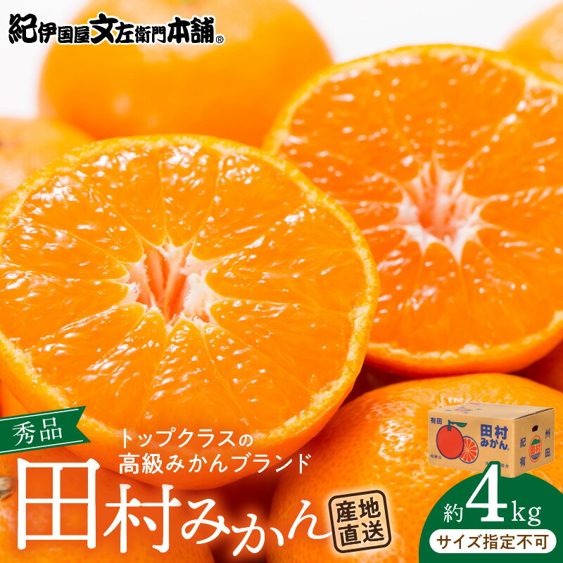 【ふるさと納税】【限定】 田村みかん／4kg秀品／サイズ指定なし／紀州和歌山有田郡湯浅町田村地区産／最高級プレミアムブランドの田村ミカン／紀伊国屋文左衛門本舗(お届け日指定不可)