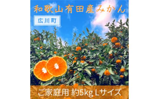 ▼【先行受付】ご家庭用 和歌山 有田みかん 約 5kg (Lサイズ) ※2024年11月15日～2025年1月15日に順次発送 ※北海道・沖縄・離島への配送不可【tss004-c-5l】