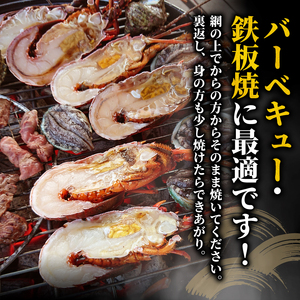 （冷凍） 簡単調理 伊勢海老 800g ハーフカット 処理済み イセエビ 海老 えび 伊勢 エビ 伊勢エビ 海宝水産 贅沢 高級 簡単調理 バーベキュー BBQ 鉄板焼 海鮮 ギフト 国産 三重県 南