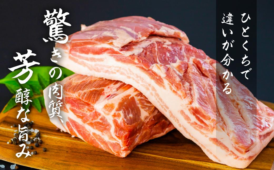 《肩ロース》国産 豚肉 ブロック 1kg 田原ポーク
