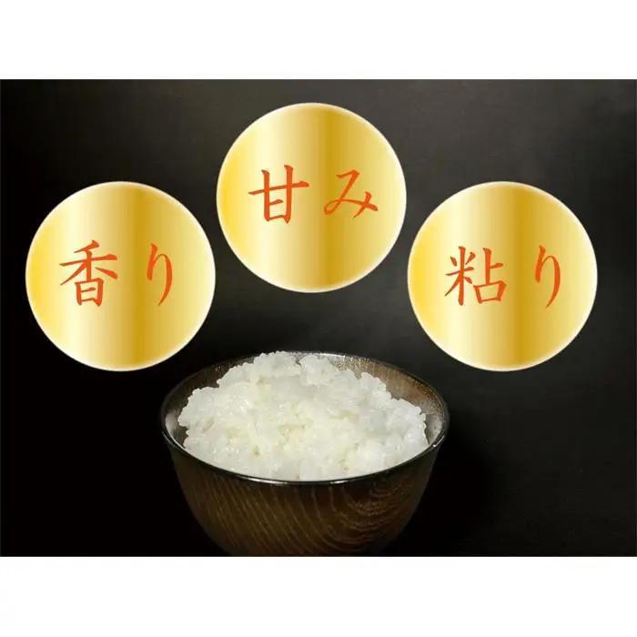【令和7年】【定期便 南魚沼産】コシヒカリ 白米10kg×6回｜コシヒカリ