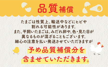 【全3回定期便】ばあちゃんの昔たまご 計120個（35個+5個×3回（品質補償付き）） / 佐賀県 / 素ヱコ農園 [41AEAA007]