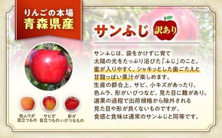 青森県産りんご サンふじ 訳ありりんご 約3kg サイズおまかせ 青森県 三戸町 BO-25-001