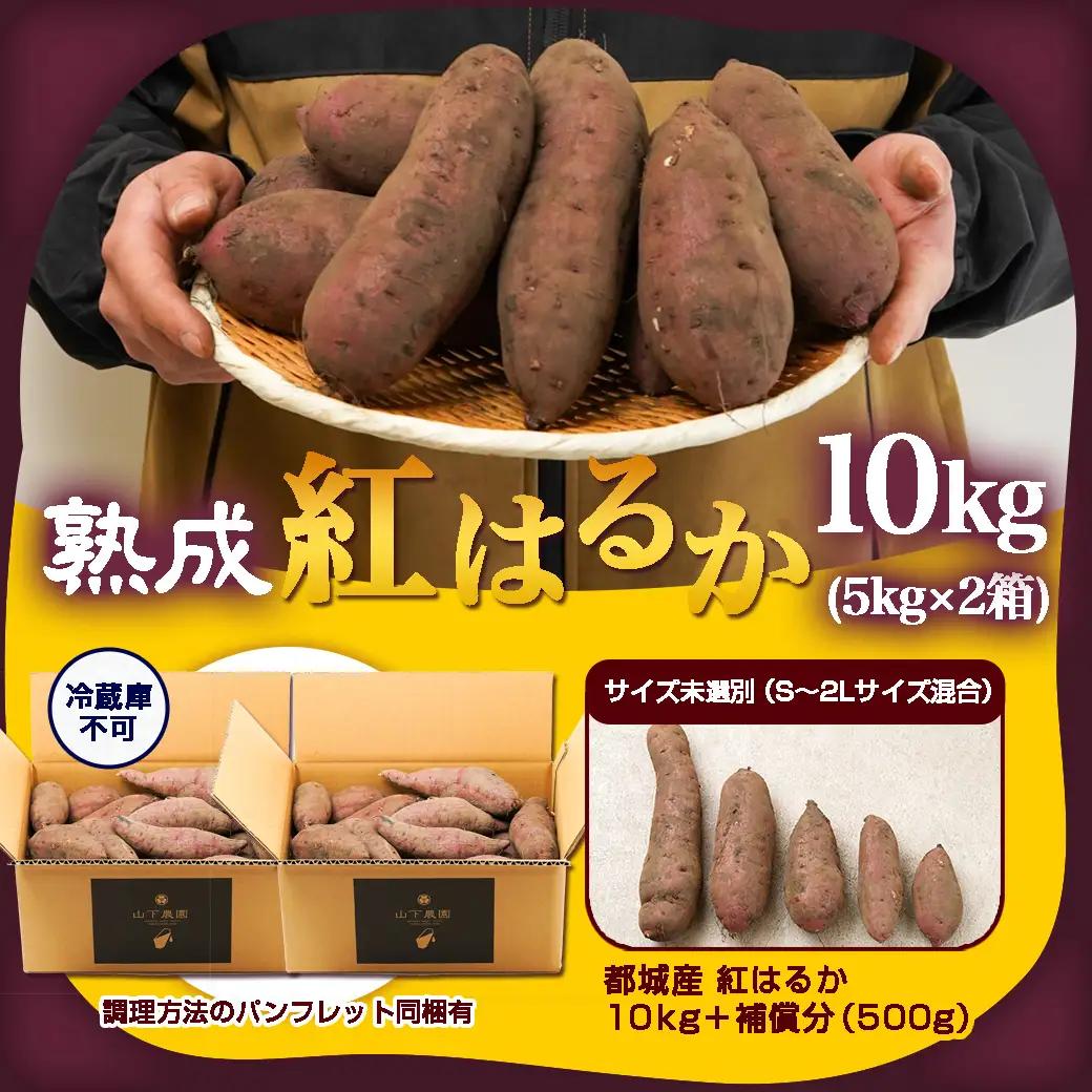 【農家直送】山下農園　熟成紅はるか 10kg〔AA-I705〕_(都城市) 紅はるか 山下農園 さつまいも