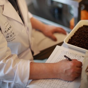 [自家焙煎] ドリップパック3種セット (15個入り) [若葉コーヒー研究所]｜3種 珈琲 ブラジル コロンビア マンデリン ギフト コーヒーセット ギフト プレゼント コーヒーブレイク おやつ 小分