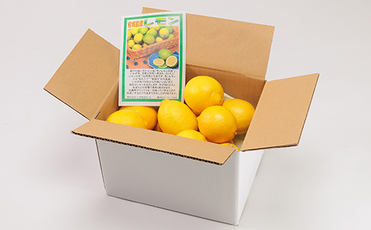 青いレモンの島　レモン約1kg【お試しセット】(12月下旬まではグリーンレモン)