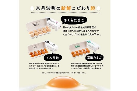 【12回定期便】 京丹波 こだわり たまご くろ丹波 30個 × 12ヶ月 定期便
