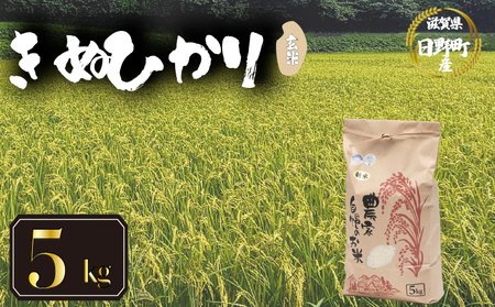 【先行予約】令和8年産 新米 キヌヒカリ 5kg 玄米 米 【KW015】 近江米