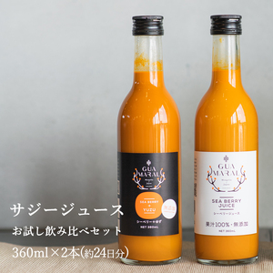  サジージュース 100%とゆず 飲み比べ2本セット【2種類の味】360ml×各1本セット（計2本）_DX01