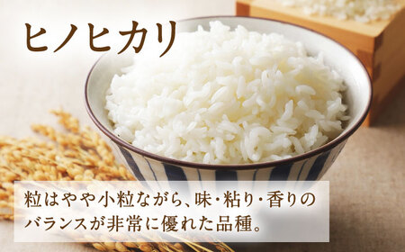  ヒノヒカリ 無洗米 6kg（1kg×6袋） 【株式会社 岩下農園】[ZFS007]