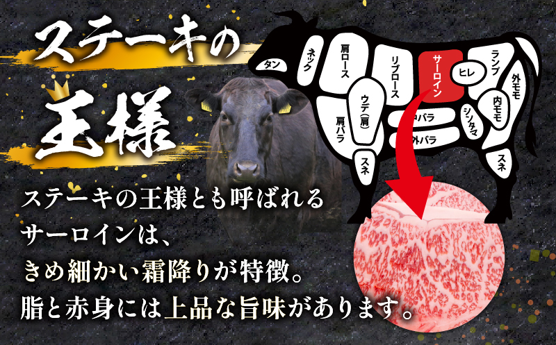 宮崎牛 サーロインステーキ 600g_M243-037