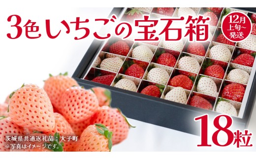 3色いちご の宝石箱18粒【2026年12月上旬発送開始】(茨城県共通返礼品：大子町) いちご 苺 果物 フルーツ 果実