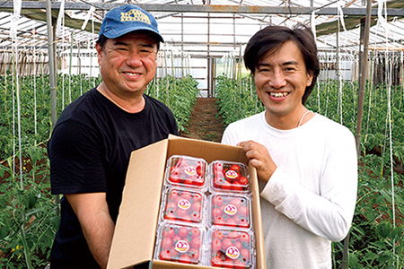 【朝どり直送】高糖度ミニトマト「宝玉丸」200g×8パック 計1.6kg