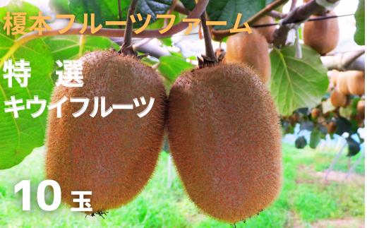 ヘイワード　特選キウイ　10玉　【11246-0166】