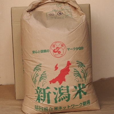 【令和7年産】新潟県糸魚川産 こしいぶき 玄米 30kg【1715954】