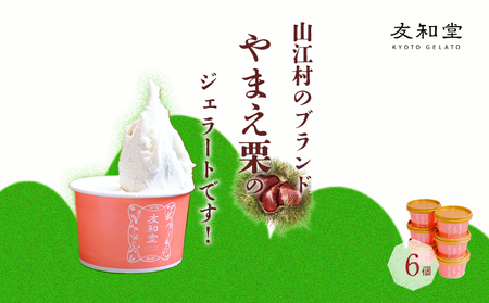 やまえ栗 ジェラート 6個 友和堂 《10月上旬-12月中旬頃出荷》 熊本県 球磨郡 山江村 スイーツ お菓子 洋菓子 アイス 栗 くり st-p