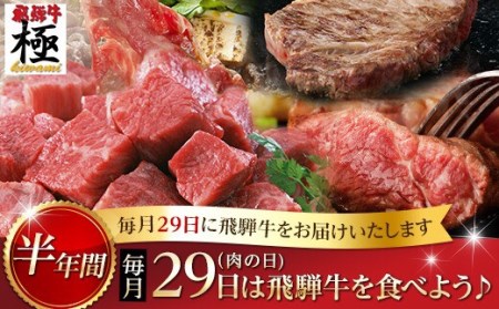 飛騨牛 肉の日 定期便 半年 6回 (6ヶ月)  毎月29日お届け 半年バージョン お肉  牛肉 定期便 飛騨市推奨特産品[L0008]