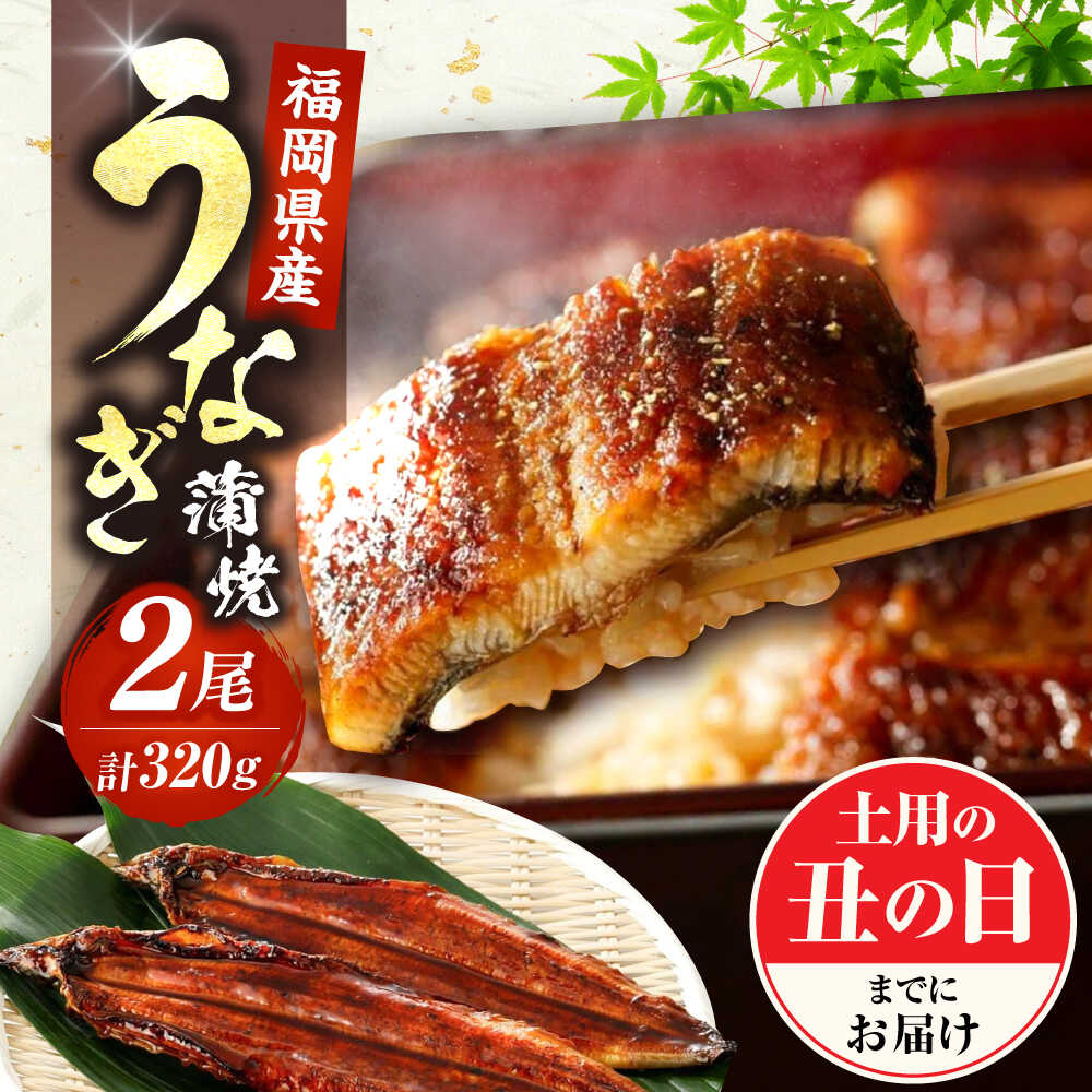 【ふるさと納税】 うなぎ 鰻 肉厚 国産 2尾 160g 豊前市 福岡養鰻 蒲焼 ウナギ お祝い プレゼント 贈答 ギフト 国産うなぎ 国産鰻 人気 おすすめ 福岡産 贅沢 ご褒美 栄養 夏バテ [VAD002]