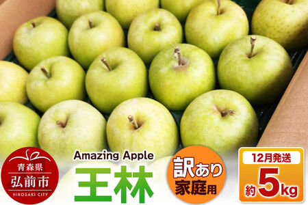 【寄附金額見直しました】【26年12月発送】りんご 王林【訳あり】家庭用 約5kg