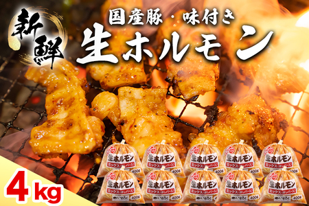 国産豚 味付き 生ホルモン ミックス(レバー入り) 4000g (400g×10パック) (DV051)
