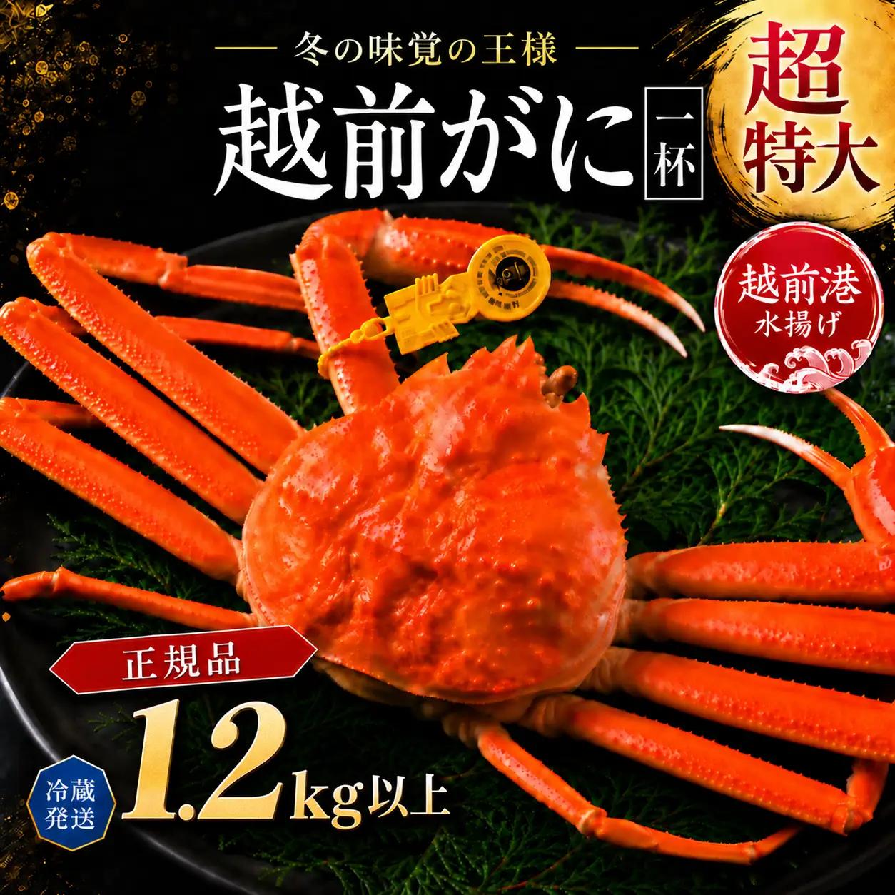 越前がに(オス)特々大サイズ　1.2kg以上× 1杯　越前ガニ　冷蔵