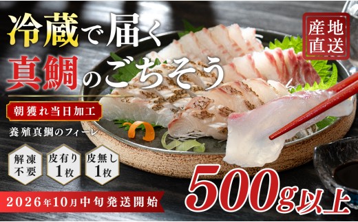 【先行受付】 朝獲れ 真鯛 フィーレ 皮付き 皮なし 500g以上 刺身 冷蔵 養殖 たい タイ マダイ セット 真空パック 産地直送 当日発送 鮮度抜群 鯛めし 鯛丼 カルパッチョ お取り寄せ ギフ