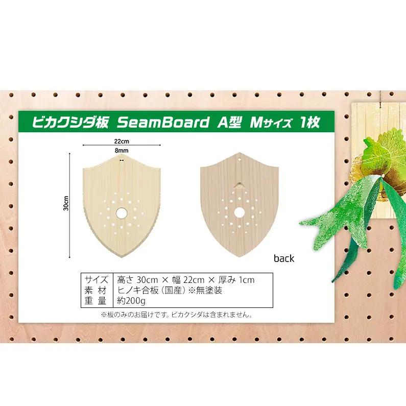 ビカクシダ板 SeamBoard A型 Mサイズ ビカクシダ コウモリラン 板付け 壁掛け 観葉植物 植物 おしゃれ インテリア 室内 無塗装 ギフト プレゼント 育てやすい 株式会社アサヒ 送料無料