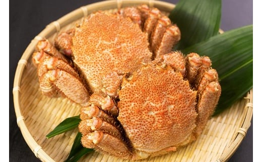 
            C-66013【12/10まで年内配送】 【北海道根室産】ボイル毛蟹450g前後×2尾 
          