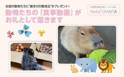 【動物推し活サービス】全国の動物たちに喜多方の農産品をプレゼント！〜動物たちの「食事動画」がお礼として届きます〜　【07208-0728】