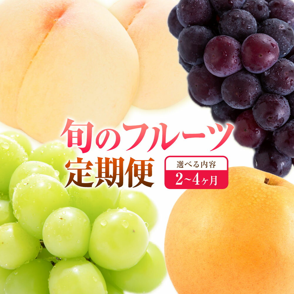 【ふるさと納税】【定期便】旬のフルーツ定期便 岡山のフルーツ 定期便 選べる 回数 コース 内容 2回 3回 4回 岡山県産 桃 シャインマスカット ニューピオーネ 梨 《7月上旬-12月末頃出荷》岡山県 笠岡市 フルーツ 旬 果物 ぶどう 梨 マスカット お取り寄せ