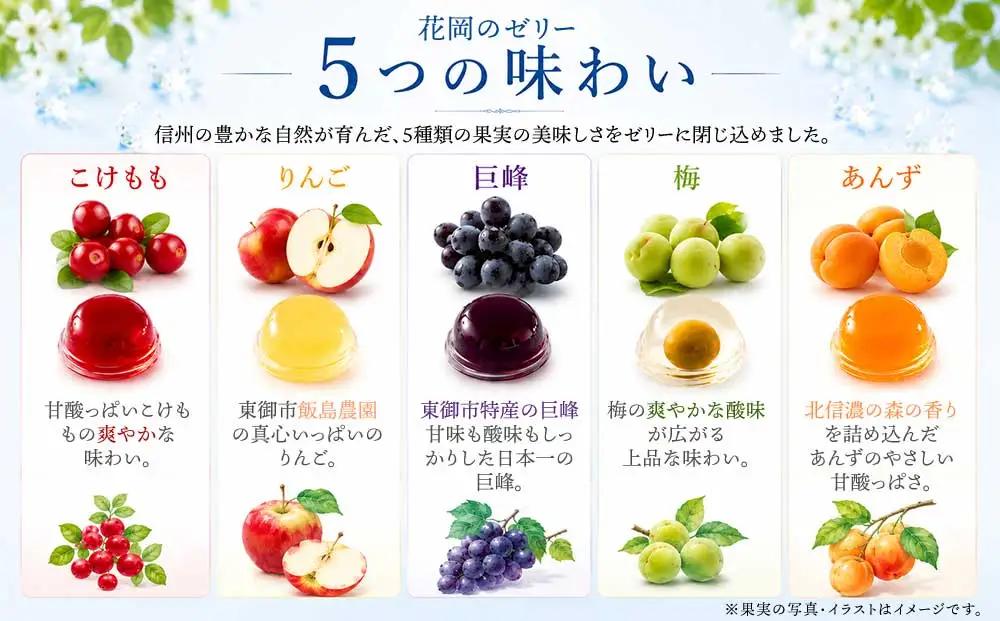 夏季限定！信州のフルーツゼリー15個セット（巨峰、こけもも、あんず、りんご、梅）【御菓子処花岡】　｜お中元 ギフト 贈り物 プレゼント