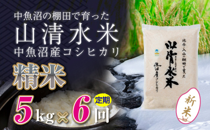 【令和6年産】【定期便／全6回】精米5kg　新潟県魚沼産コシヒカリ「山清水米」十日町市 米